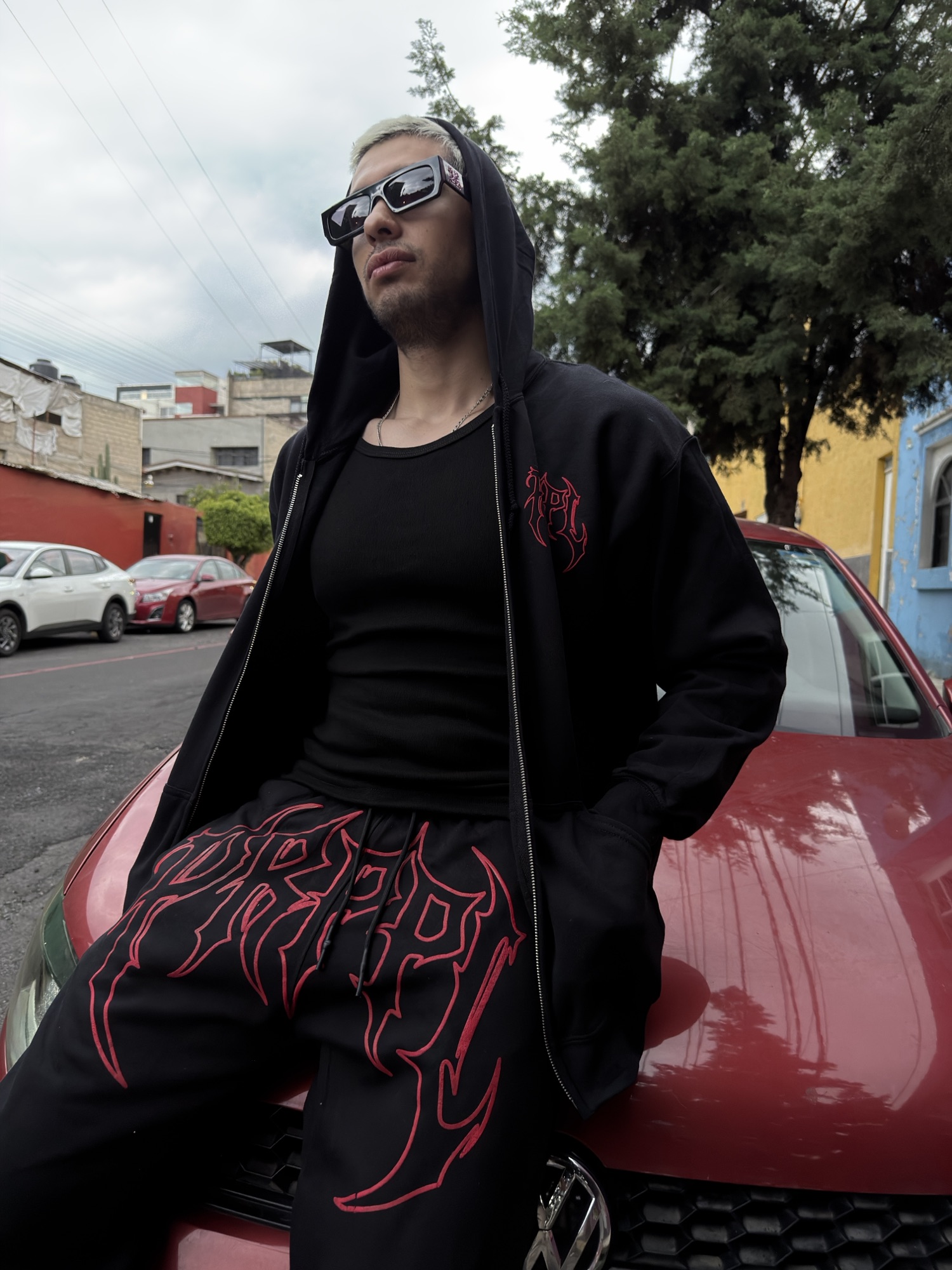 SUDADERA CIERRE RED GOTIC